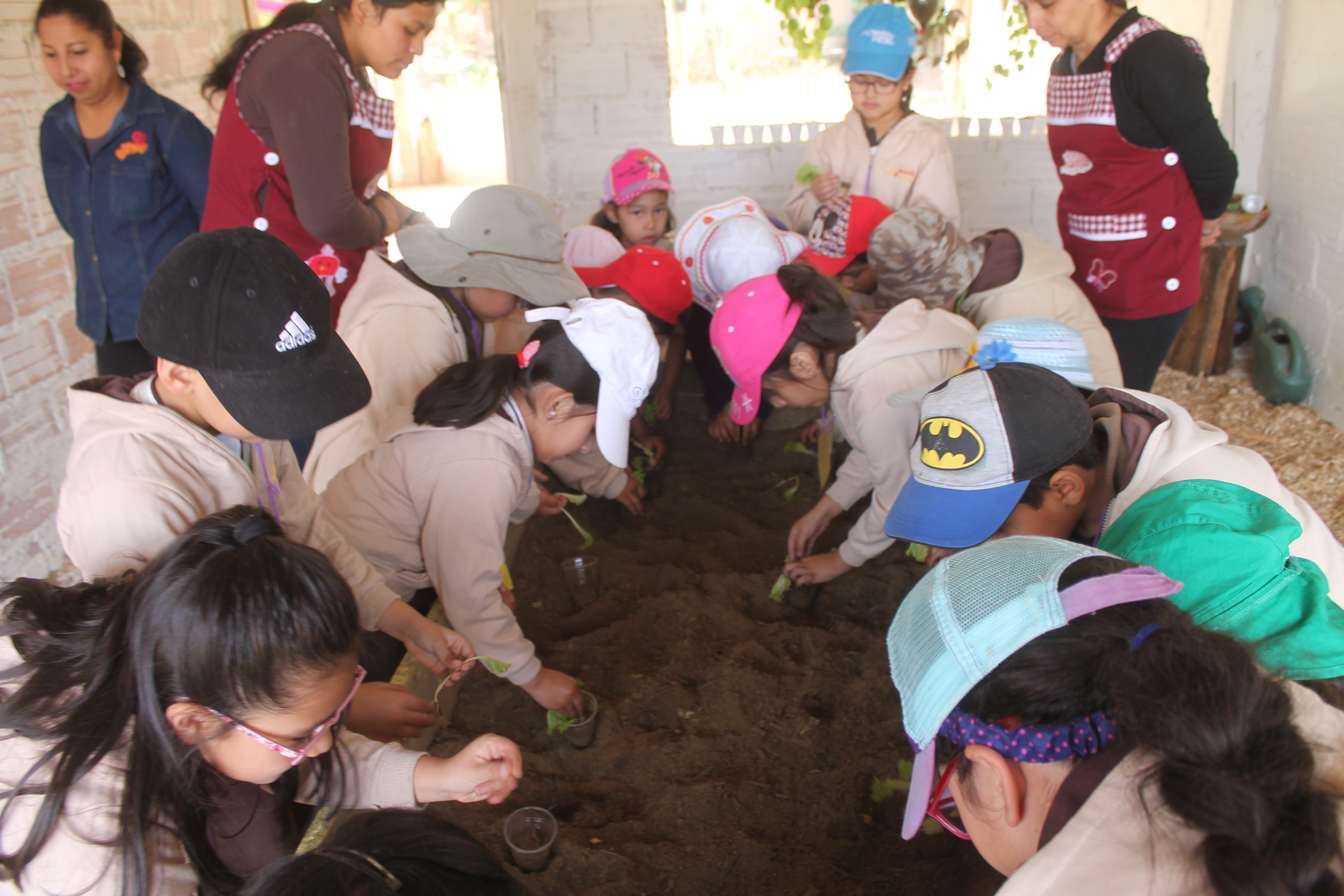 Actividades de botánica y ciencias naturales